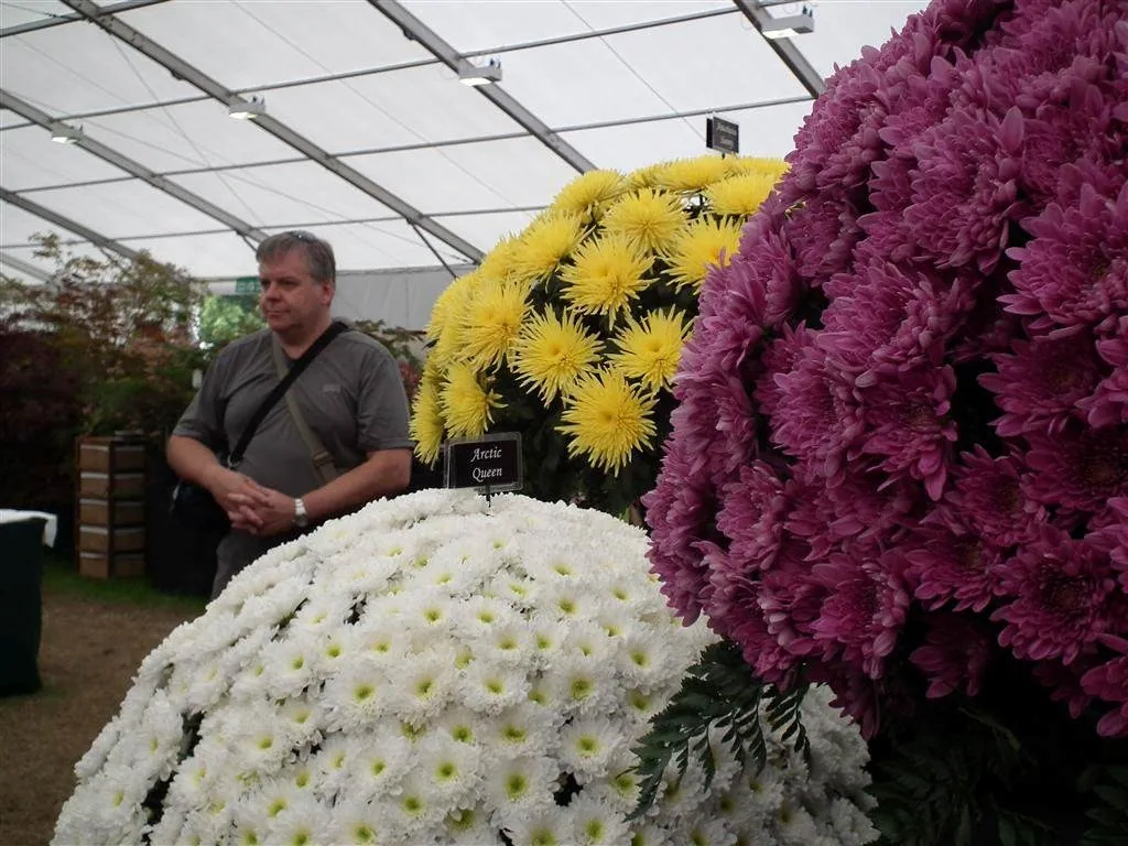 Floral marquee in the long water area 28